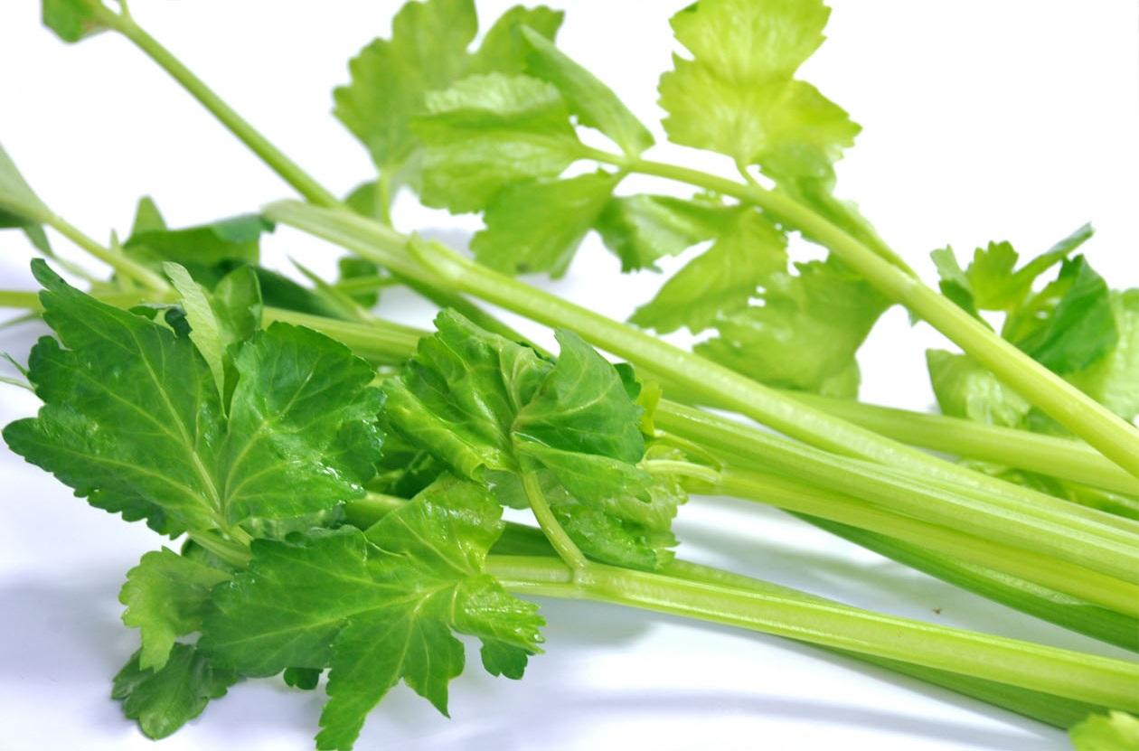 蔬菜是個寶，這些部位也更好！