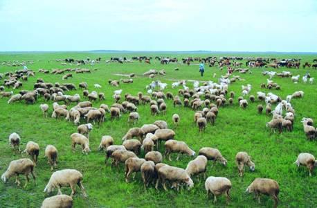 草原生態(tài)氣象站廠家 草原生態(tài)氣象站廠家