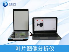 葉片圖像是如何分析的？